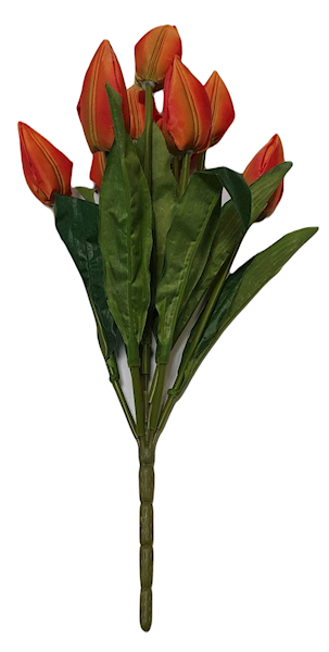 TULIPAN BUKIET F92 MIX KOLOR