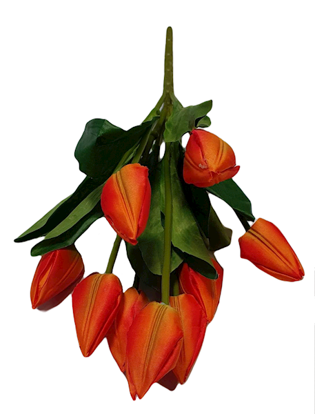 TULIPAN BUKIET F92 MIX KOLOR