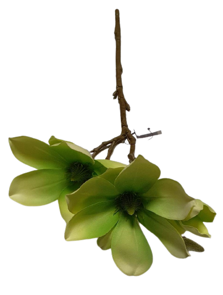 MAGNOLIA GAŁĄZKA SUN488 ZIELONY
