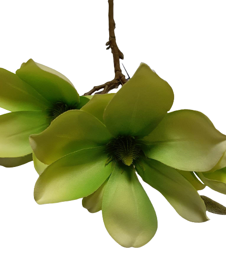 MAGNOLIA GAŁĄZKA SUN488 ZIELONY