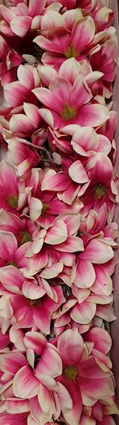 MAGNOLIA GAŁĄZKA SUN488 RÓŻOWY