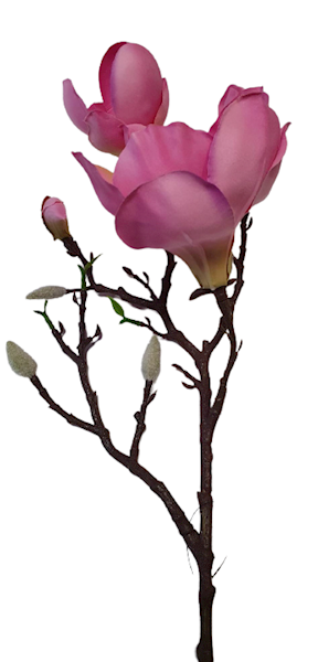 MAGNOLIA GAŁĄZKA SUN404 MIX 2 MIX KOLOR