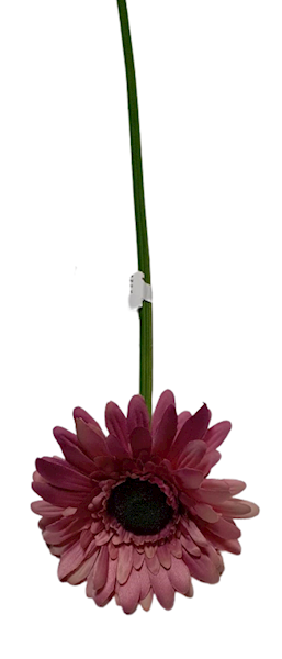 GERBERA GAŁĄZKA SUN529 BRUDNY FIOLET