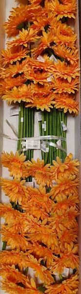 GERBERA GAŁĄZKA SUN529 HERBACIANY JASNY