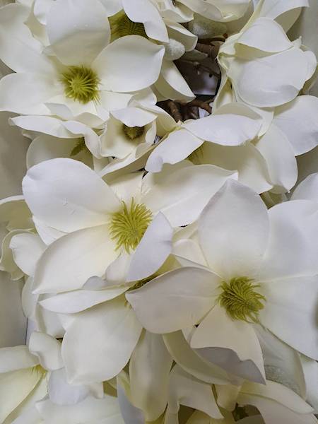 MAGNOLIA GAŁĄZKA SUN488 ZIELONKAWY