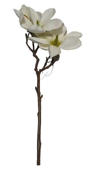 MAGNOLIA GAŁĄZKA SUN488 ZIELONKAWY