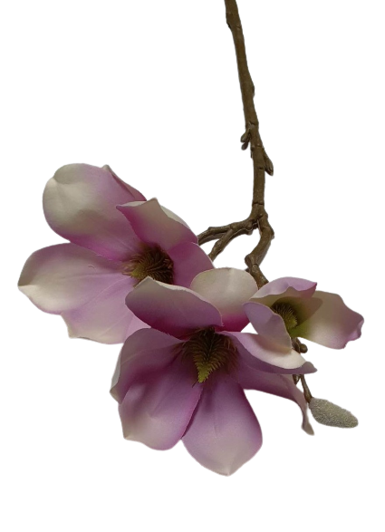 MAGNOLIA GAŁĄZKA SUN488 RÓŻOWY