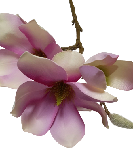 MAGNOLIA GAŁĄZKA SUN488 RÓŻOWY