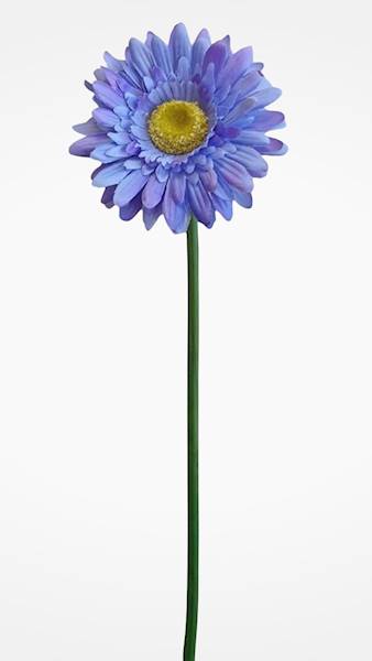 GERBERA GAŁĄZKA SUN529 WRZOSOWY