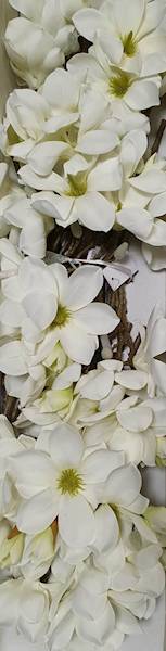 MAGNOLIA GAŁĄZKA SUN488 BIAŁY