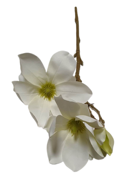MAGNOLIA GAŁĄZKA SUN488 BIAŁY