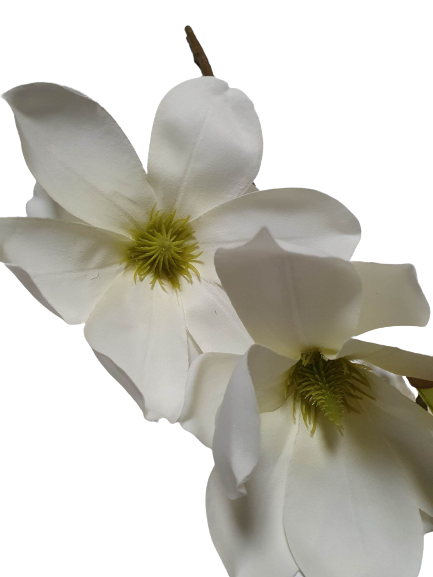MAGNOLIA GAŁĄZKA SUN488 BIAŁY