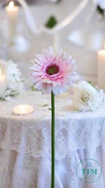 GERBERA GAŁĄZKA SUN529 PUDROWY RÓŻ