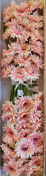 GERBERA GAŁĄZKA SUN529 PUDROWY RÓŻ