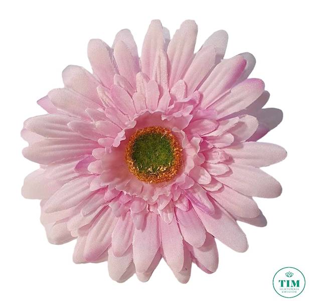 GERBERA WYROBOWA X24 SUN754 PERŁOWY RÓŻ