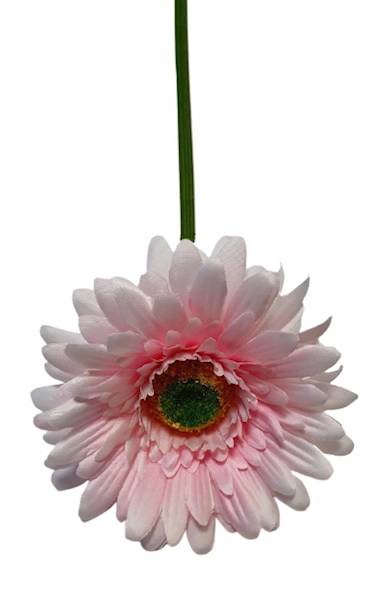 GERBERA GAŁĄZKA SUN529 PERŁOWY RÓŻ