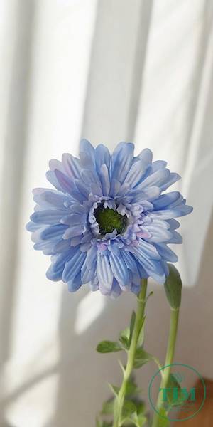 GERBERA WYROBOWA X24 SUN754 BŁĘKITNY