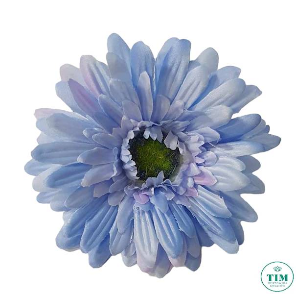 GERBERA WYROBOWA X24 SUN754 BŁĘKITNY