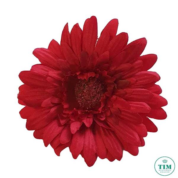 GERBERA WYROBOWA X24 SUN754 CZERWONY