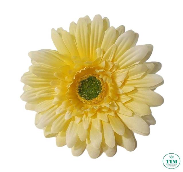 GERBERA WYROBOWA X24 SUN754 ŻÓŁTY JASNY