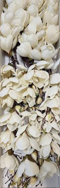 MAGNOLIA NA PIKU ART111 KREMOWY