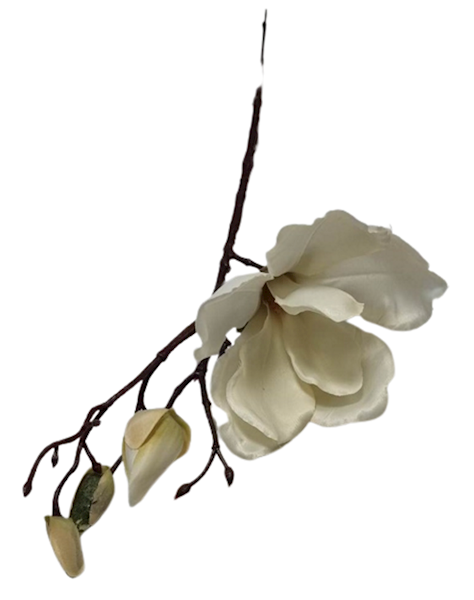 MAGNOLIA NA PIKU ART111 KREMOWY