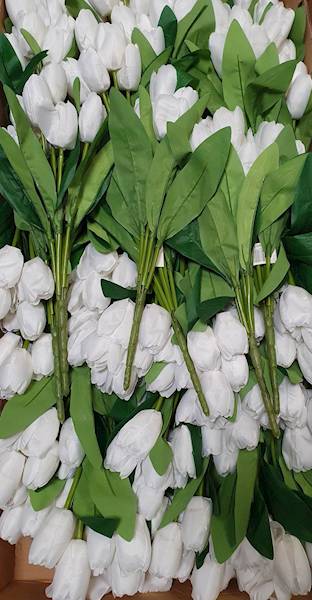 TULIPAN BUKIET TF520 BIAŁY