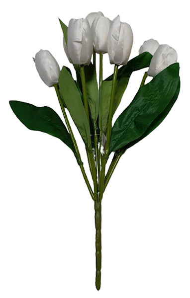 TULIPAN BUKIET TF520 BIAŁY
