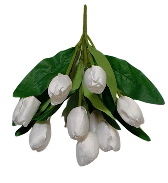 TULIPAN BUKIET TF520 BIAŁY