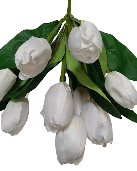 TULIPAN BUKIET TF520 BIAŁY