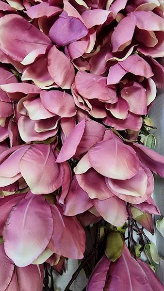 MAGNOLIA NA PIKU ART111 RÓŻOWY CIEMNY
