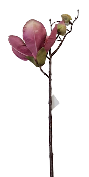 MAGNOLIA NA PIKU ART111 RÓŻOWY CIEMNY