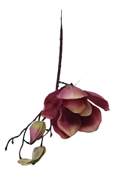 MAGNOLIA NA PIKU ART111 RÓŻOWY CIEMNY
