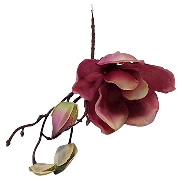 MAGNOLIA NA PIKU ART111 RÓŻOWY CIEMNY