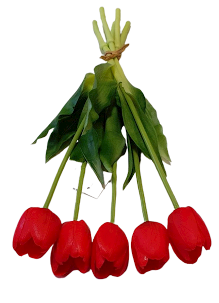 TULIPAN GUMOWANY BW8667 CZERWONY