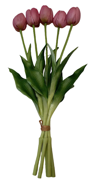 TULIPAN GUMOWANY BW8667 MIX KOLOR