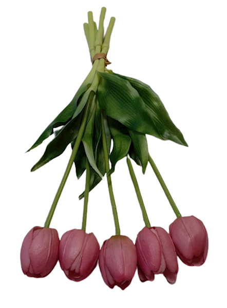 TULIPAN GUMOWANY BW8667 MIX KOLOR