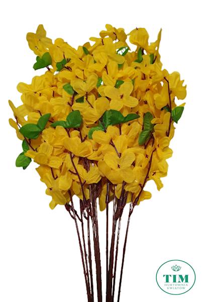 FORSYCJA GAŁĄZKA X12 HX015001X4LT ŻÓŁTY