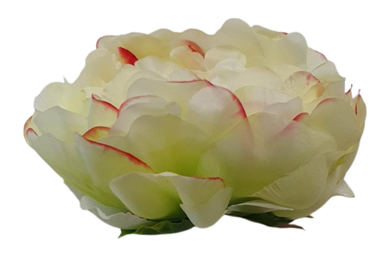 PIWONIA WYROBOWA X12 SUN406 ZIELONY JASNY