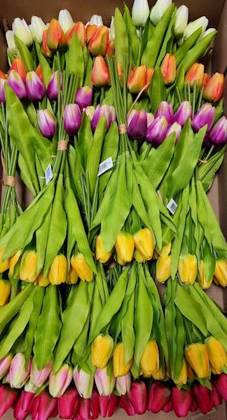 TULIPAN BUKIET M92868 MIX KOLOR