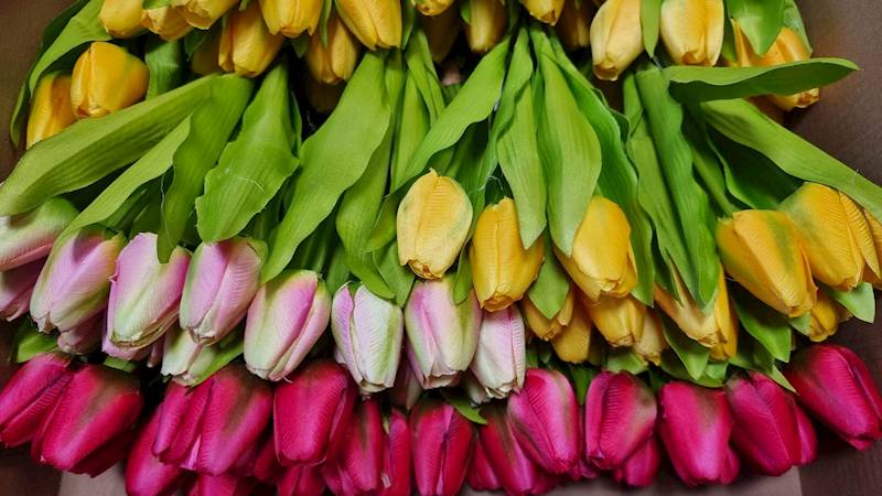 TULIPAN BUKIET M92868 MIX KOLOR