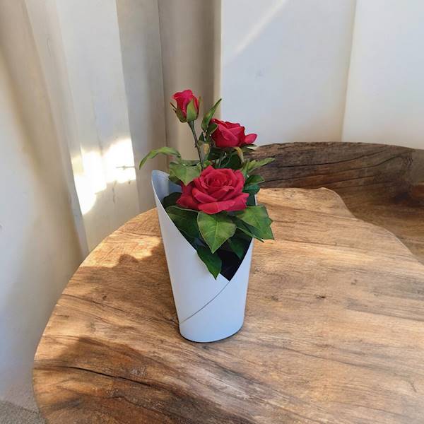 FLOWER BOX W3011 BIAŁY