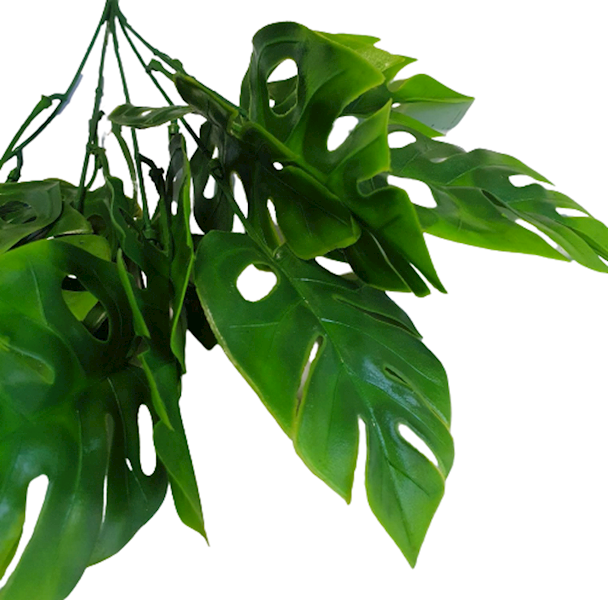LIŚĆ MONSTERA BUKIET GUMOWANY VIP4577 ZIELONY