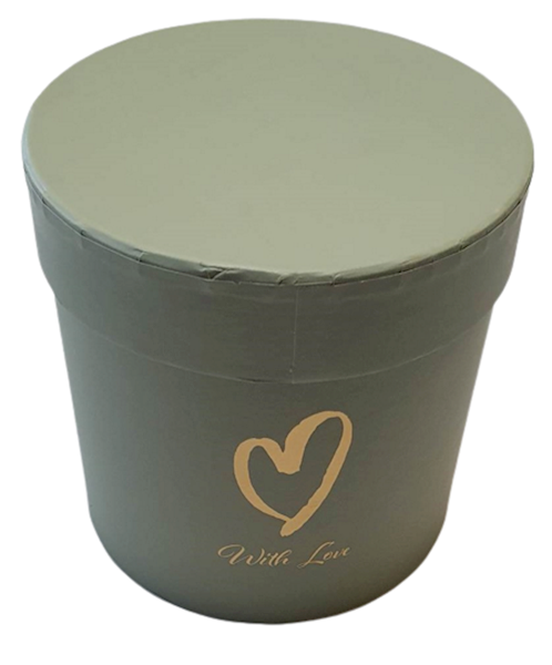FLOWER BOX W21221 OLIWKA JASNY
