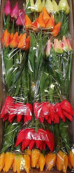 TULIPAN GAŁĄZKA X12 BL053 MIX KOLOR