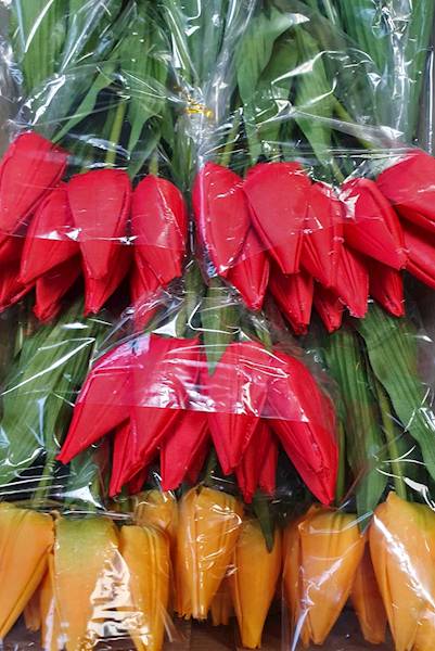 TULIPAN GAŁĄZKA X12 BL053 MIX KOLOR