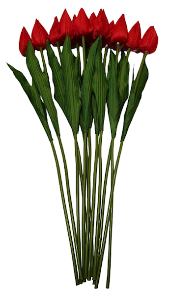 TULIPAN GAŁĄZKA X12 BL053 MIX KOLOR