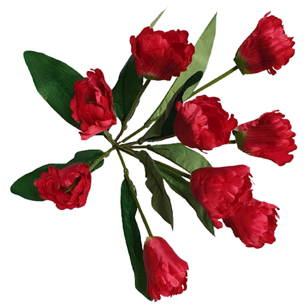 TULIPAN BUKIET P463 MIX1 MIX KOLOR