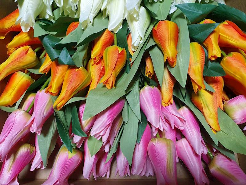 TULIPAN BUKIET P4621108 MIX1 MIX KOLOR