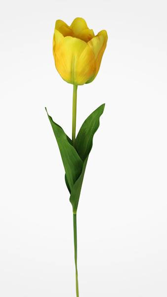 TULIPAN GAŁĄZKA 010011 MIX KOLOR
